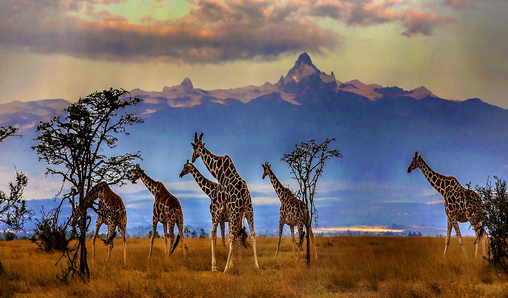 Best Travel Destinations in Kenya